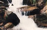 玉龍?jiān)?、響水?></a></dd>
  <dd>
	 

	

	 

	　　雨母山西北一個(gè)山皂，東西縱向長(zhǎng)達(dá)1公里。有叫玉龍?jiān)恚薪许懰?。該皂有響水泉和響水瀑布。在玉龍?jiān)砼c九龍沖相隔的山坳，叫玉龍騰山坳，簡(jiǎn)稱玉龍坳。玉龍土皂現(xiàn)駐有供電所、林場(chǎng)和蒸湘區(qū)黨校。在玉龍?jiān)淼?，有一泉臺(tái)，叫玉龍臺(tái)。...[<a href=