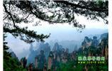 【純玩獨(dú)立成團(tuán)線路1】張家界、袁家界、天子山、寶峰湖/黃龍洞二晚三日