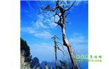 湘西之旅：張家界、天子山、寶峰湖/黃龍洞、鳳凰古城、猛洞河漂流、天門山六日游