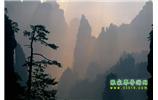 張家界國(guó)家森林公園、寶峰湖/黃龍洞、鳳凰古城、三峽八日游
