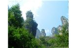 【純玩拼團(tuán)線路 張家界出發(fā)A2線】張家界、袁家界、天子山、金鞭溪、鳳凰古城2晚3日游